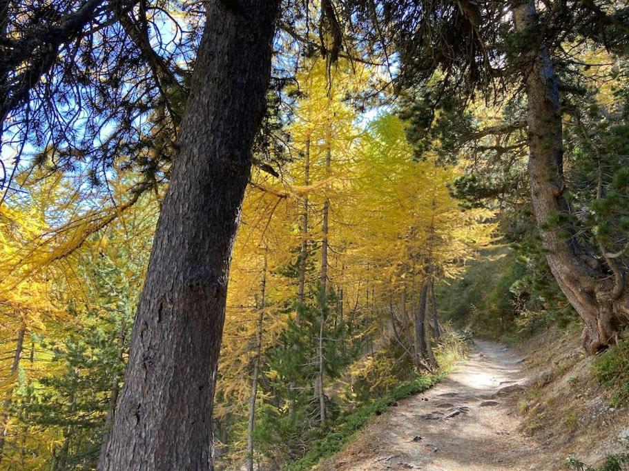 Relax In Montagna Διαμέρισμα Bardonecchia Εξωτερικό φωτογραφία
