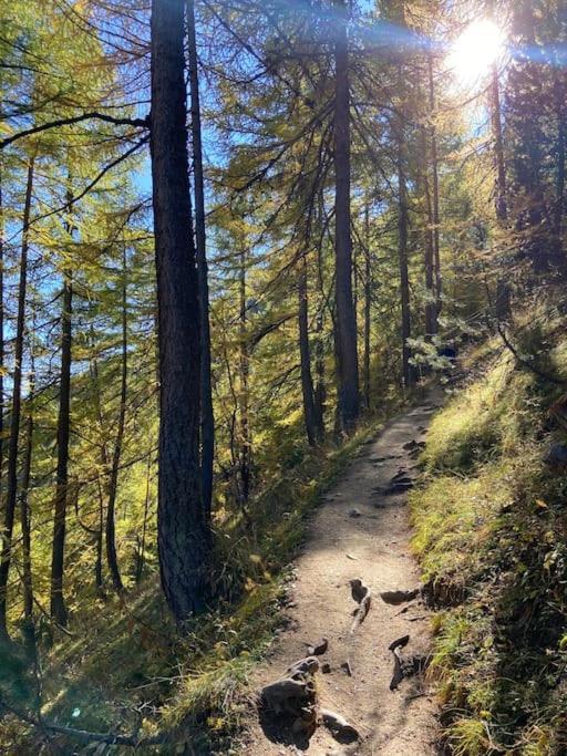 Relax In Montagna Διαμέρισμα Bardonecchia Εξωτερικό φωτογραφία