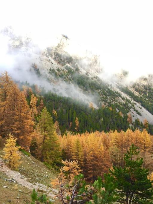 Relax In Montagna Διαμέρισμα Bardonecchia Εξωτερικό φωτογραφία